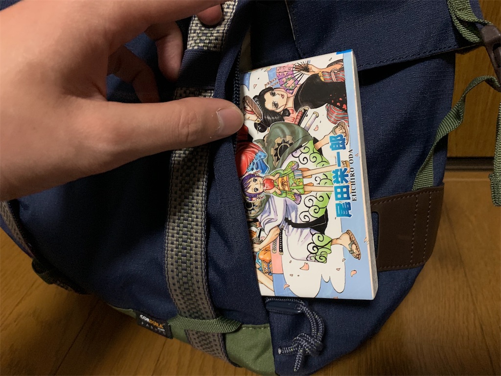 f:id:thebackpack:20190107054213j:image
