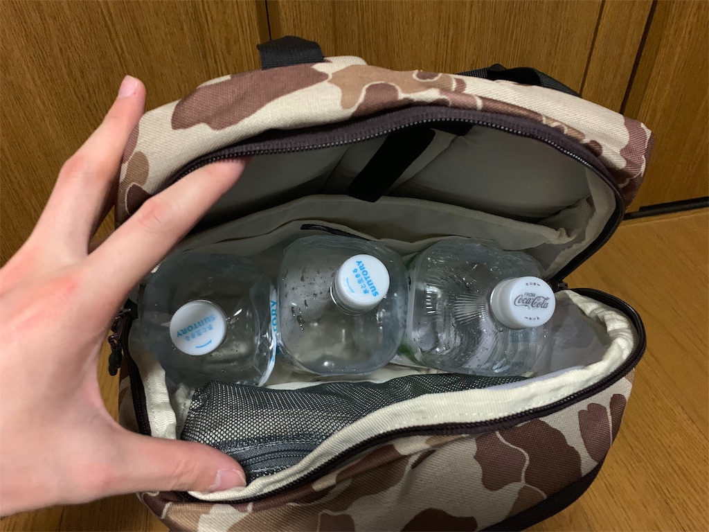 f:id:thebackpack:20190108224046j:image