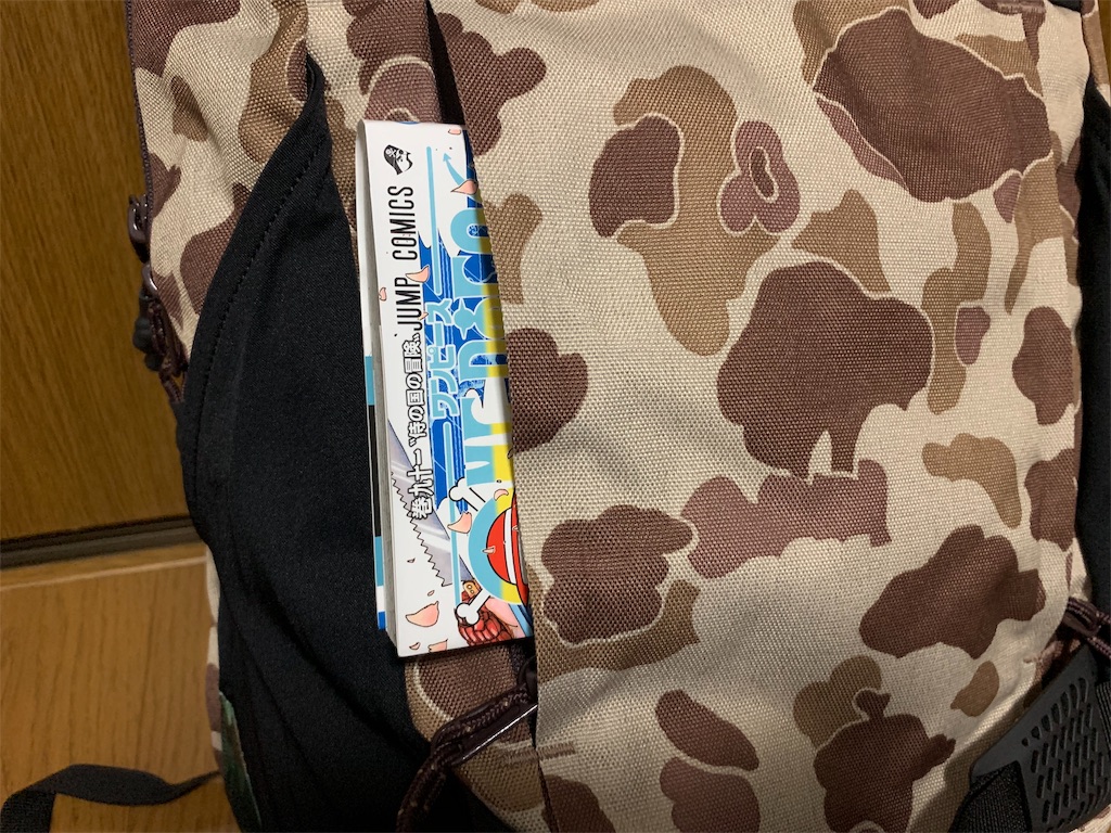 f:id:thebackpack:20190108224117j:image
