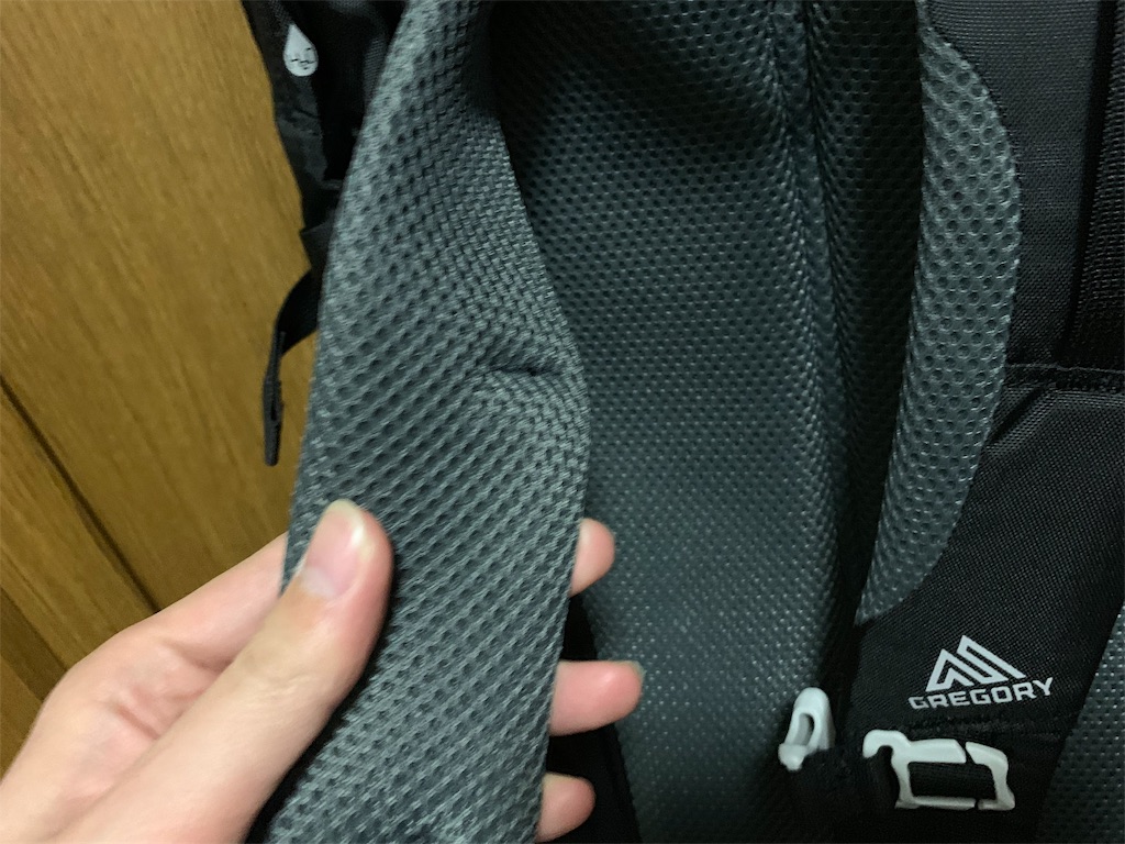 f:id:thebackpack:20190116223558j:image