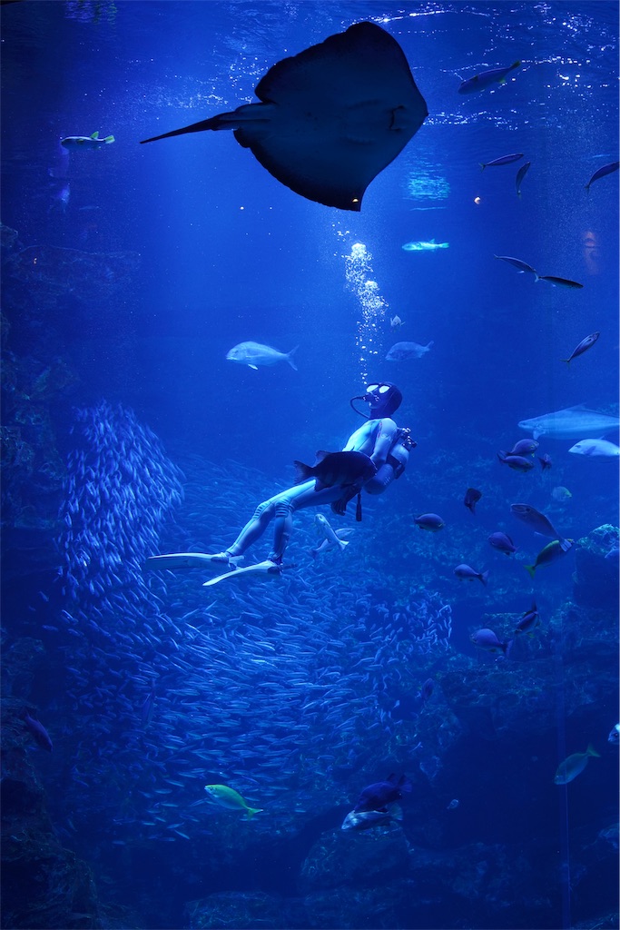 f:id:thebackpack:20190213064559j:image