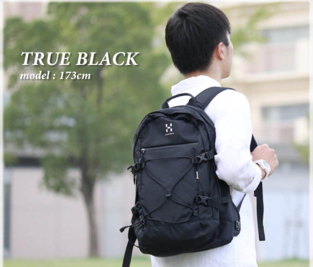 f:id:thebackpack:20190226183155p:plain