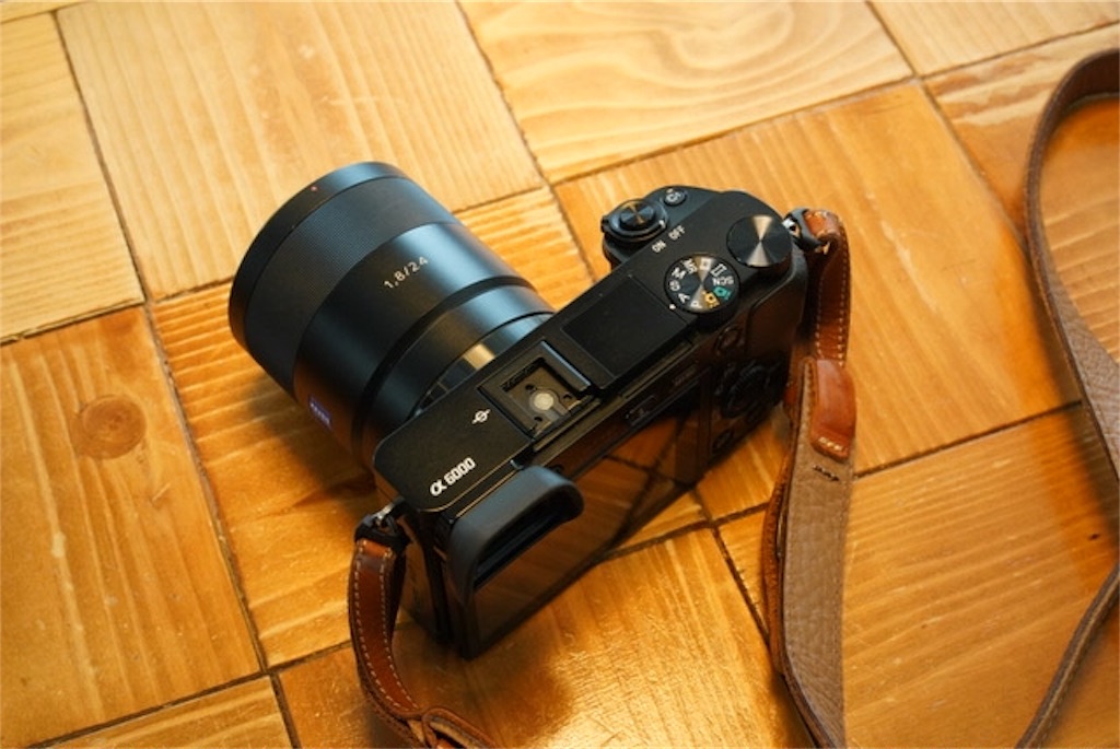 SONY α6000が最強コスパミラーレスカメラだから超おすすめ！！【一年 