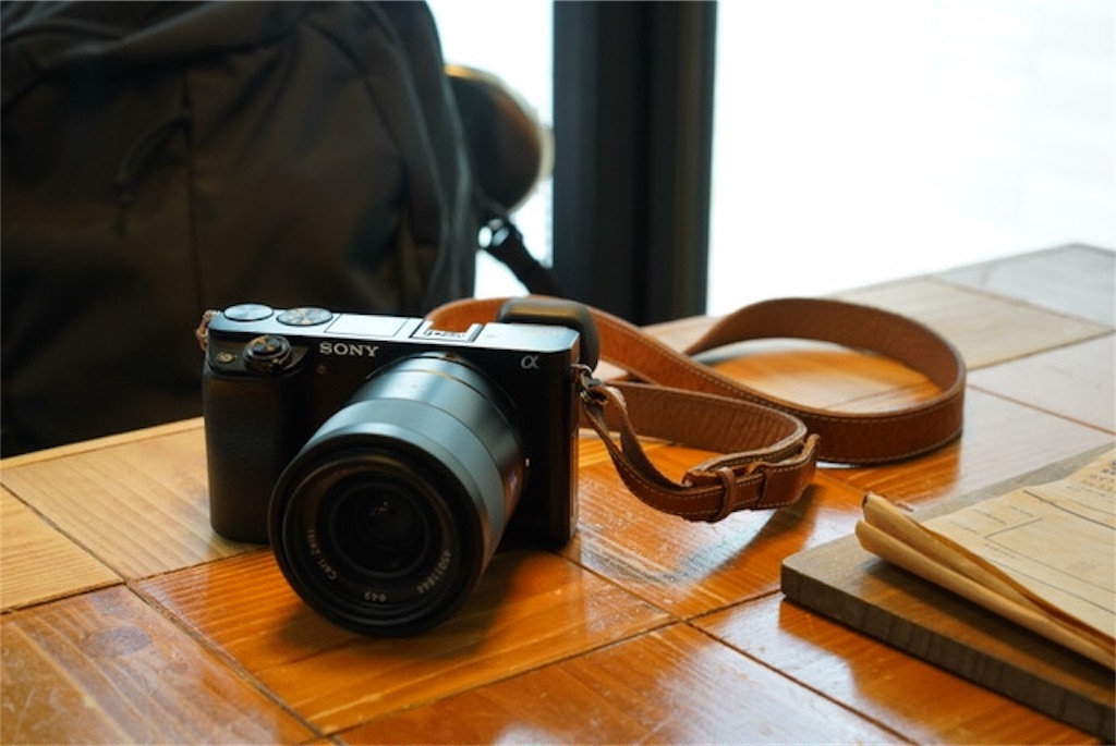 カメラ デジタルカメラ SONY α6000が最強コスパミラーレスカメラだから超おすすめ！！【一年 