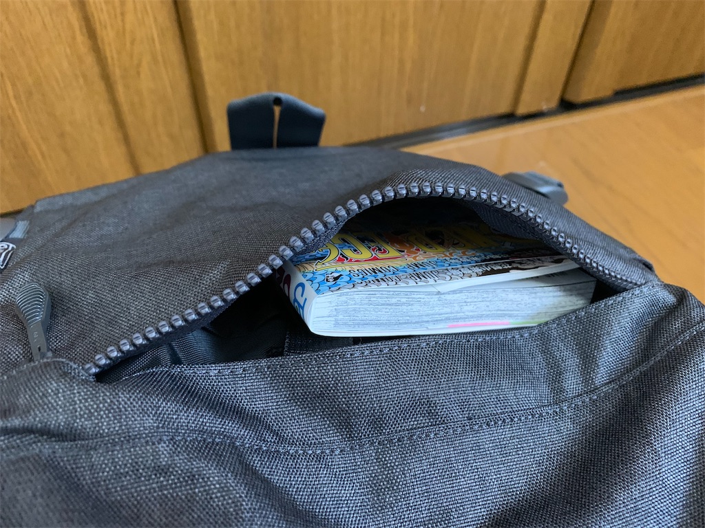f:id:thebackpack:20190416191856j:image