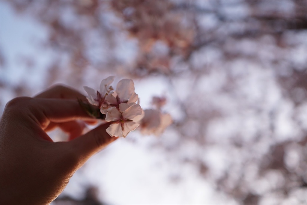f:id:thebackpack:20190520220321j:image