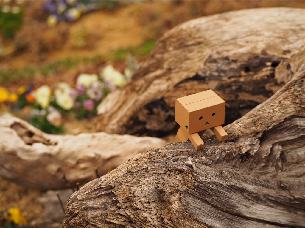 f:id:thebackpack:20190524191732j:image