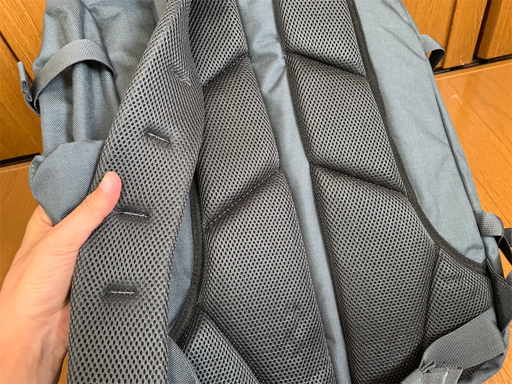 キャビンゼロ 44l買ったけど 背負えるキャリーケースだわ リュックレビュー リュックマン