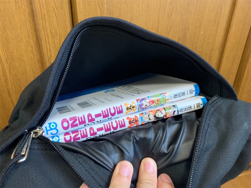 f:id:thebackpack:20190914131831j:image
