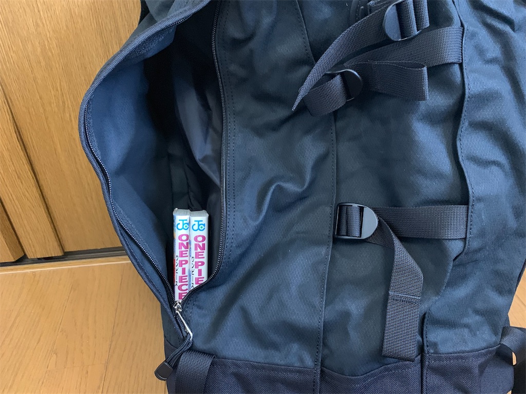 f:id:thebackpack:20190914131834j:image